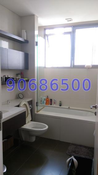 Three Three Robin (D10), Apartment #73163972
